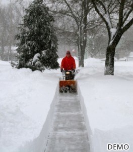 image-3_Snow Removal