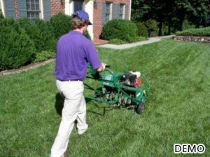 image-8_Lawn Aeration